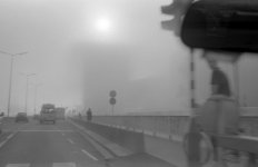 Fog 3.jpg