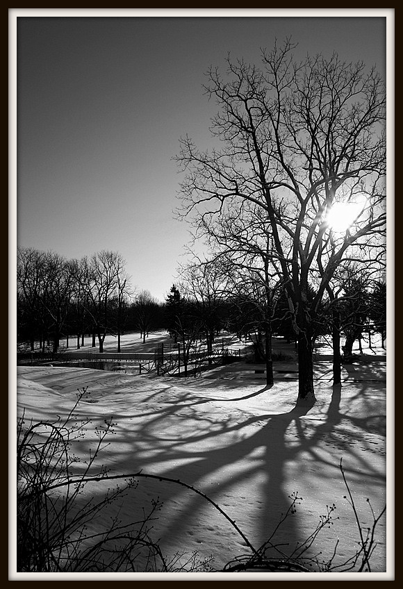 U28767I1388028523.SEQ.4.jpg