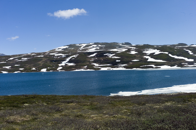 U3565I1404085871.SEQ.0.jpg