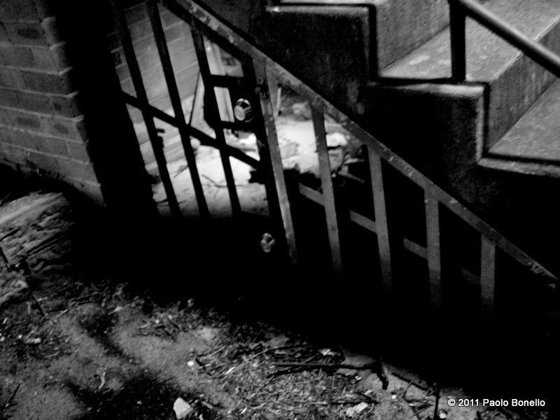 U42986I1305880396.SEQ.0.jpg