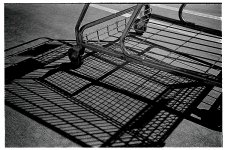 cart shadow.jpg