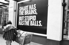 smart stupid balls.jpg