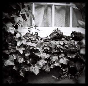 CNV00001_zeiss.jpg