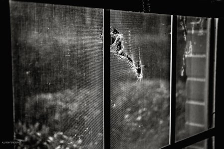 _XPB0001.ixt-Edit-2.jpg