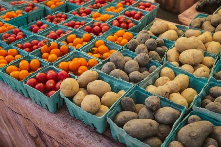 Falls Church Farmers Market July 27 2024 srgb-6927.jpg