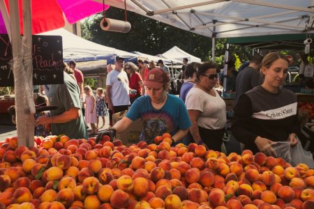 Falls Church Farmers Market July 27 2024 srgb-6929.jpg