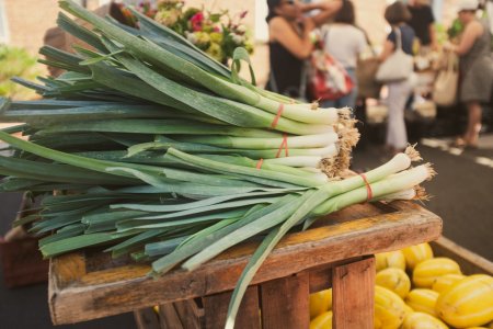Falls Church Farmers Market July 27 2024 srgb-6939.jpg