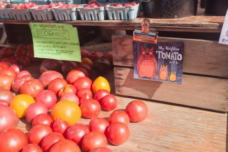 Falls Church Farmers Market July 27 2024 srgb-6943.jpg