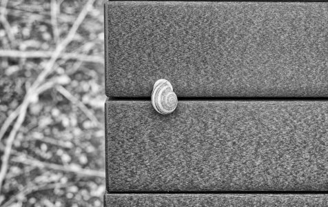 L1002468BW copy.jpg