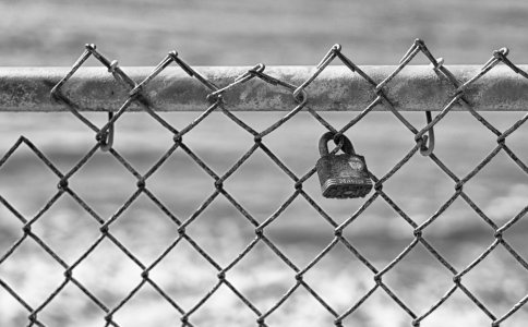 L1001951-2BW copy.jpg