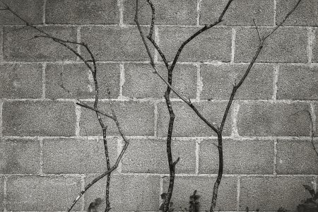 XP2C0001-Edit-3.jpg