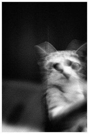 073B5191-C689-4328-B95A-6AAA78C6B0F3.jpeg