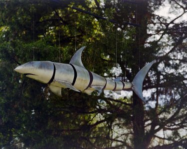 Fish Sculpture July 2024 small.jpg