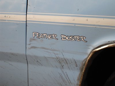 plymouthFeatherDuster2.JPG plymouthFeatherDuster2.JPG