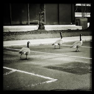 HipstamaticPhoto-696787138.164326.jpeg