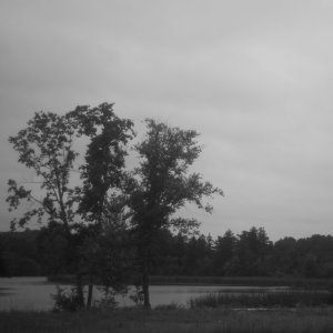 L1001189.jpg