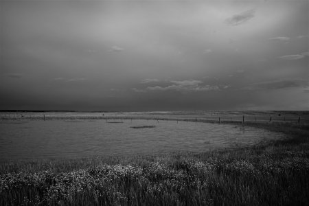 White Lakes .jpg