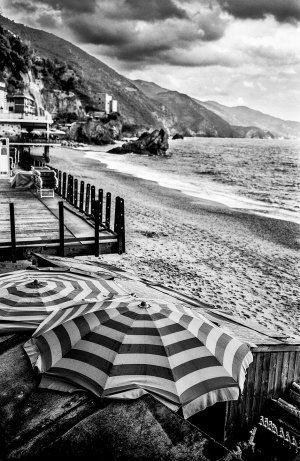 Coastline20bw.jpeg