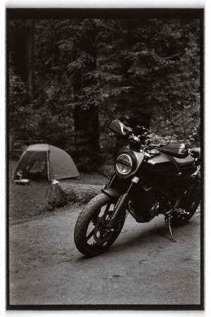 S1080937 2.jpg S1080937 2.jpg