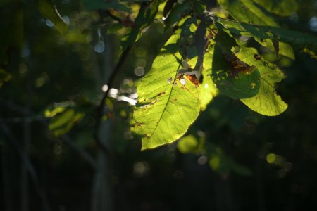 M2405920.jpg M2405920.jpg