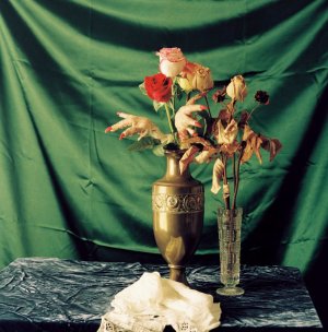 Flowers.JPG Flowers.JPG