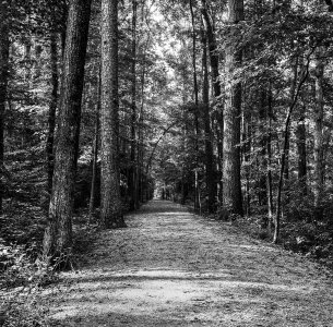 Path20-2.jpeg