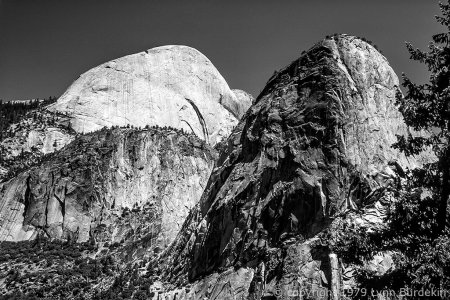 1979_FE_KR25_USA32-14-Edit-2.jpg