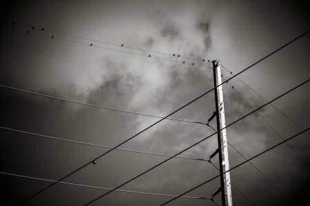 _LS10005-1-2.jpg