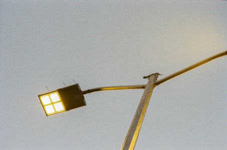kingfisher2.jpg