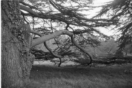 LeicaIf-Roll3-Foma400 (13) - FINAL EDIT.jpg LeicaIf-Roll3-Foma400 (13) - FINAL EDIT.jpg