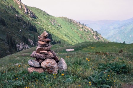 DSC_5776.jpg