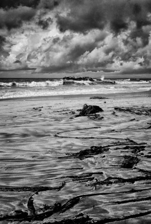 L1000182P(B&W).jpg