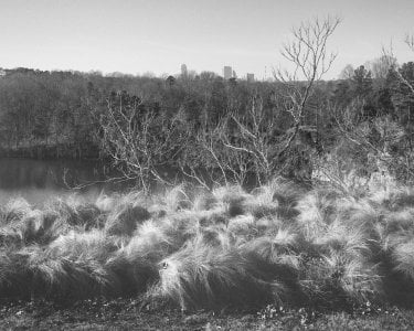 52673003093_35d5dec942_o.jpeg