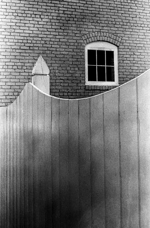 Fence20.jpeg
