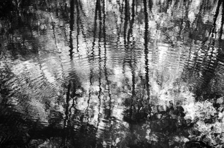 IMG_4641.jpeg