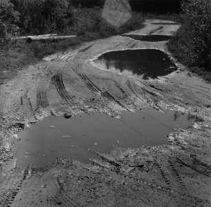 mudseason.jpg