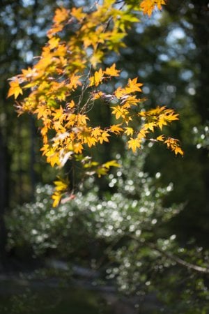 M2405961.jpg M2405961.jpg