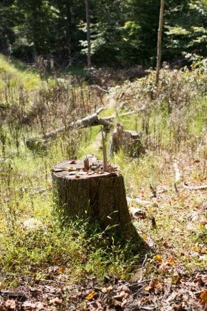 M2405930.jpg