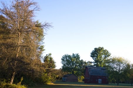 p020.jpg
