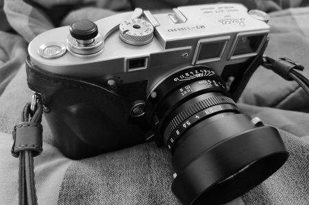 IMG_20241013_163343976[15980BW].jpg