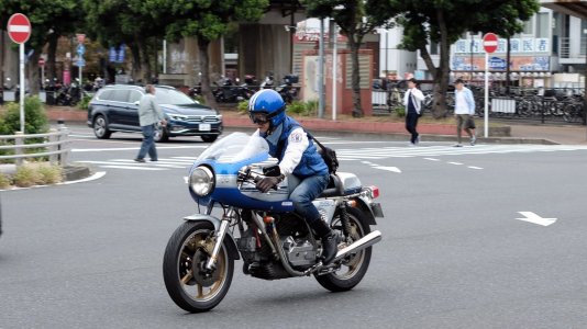 DSCF0512.JPG