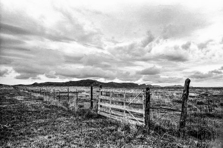 Fence24-2.jpeg