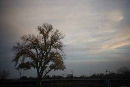 106.jpg