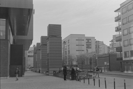 DSC00517-2.jpg