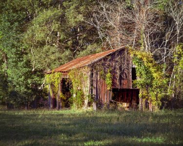 Mamiya RZ67 - 180mm - Route 17 - Barn.jpg