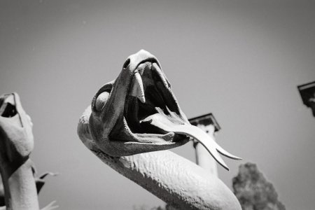 Snake 2 - Busch Gardens - FA 28mm - Portra 160.jpg