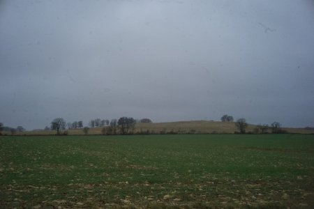 112.jpg