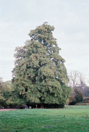 C24101324.jpg