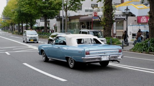 DSCF0922.jpg