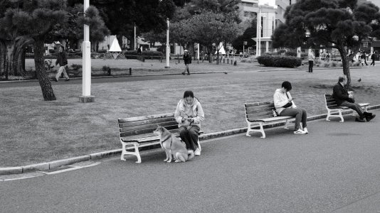 DSCF4939.jpg
